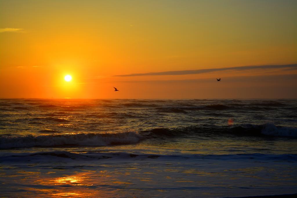 The Saint Augustine Beach House ภายนอก รูปภาพ