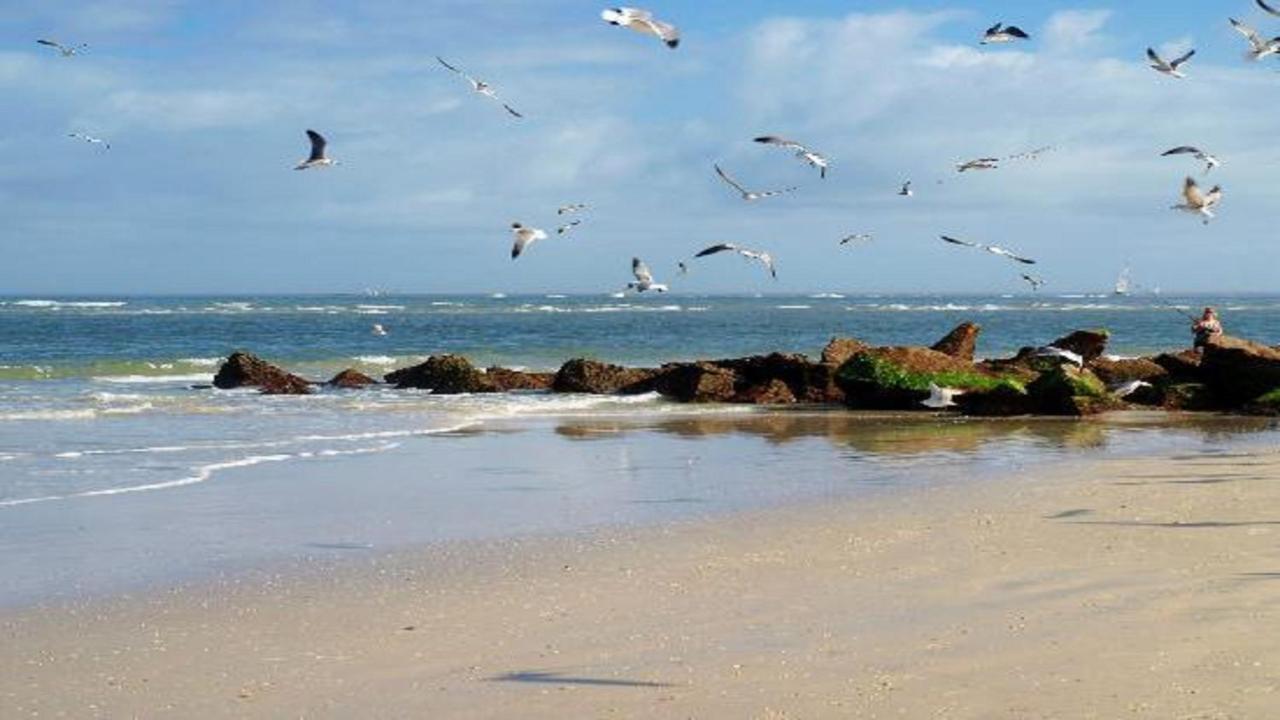 The Saint Augustine Beach House ภายนอก รูปภาพ